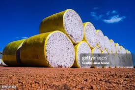 Cotton Bales